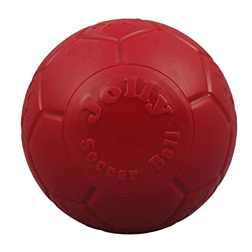 Jolly Pets Jolly Soccer Ball Dog Toy 8in,All Breed Sizes