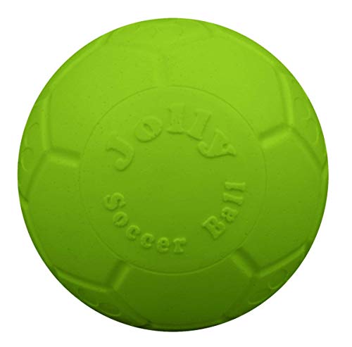 Jolly Pets Jolly Soccer Ball Dog Toy 8in,All Breed Sizes