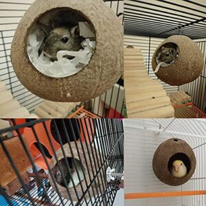 OMEM Bird Coconut House,Hamster House,Coconut Shells can Fixed in Bamboo, Birdcages, Hamster Cages (L)