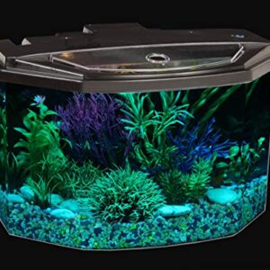 Koller Products Plastic 3-Gallon Aquarium Starter Kit with 7 Colors LED Lighting and Complete Filtration, Ideal for a Variety of Tropical Fish , Betta Fish, Tropical Fish, Cichlids, Ornamental Shrimp