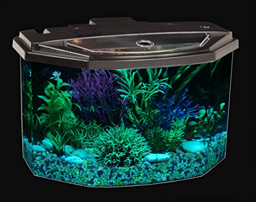 Koller Products Plastic 3-Gallon Aquarium Starter Kit with 7 Colors LED Lighting and Complete Filtration, Ideal for a Variety of Tropical Fish , Betta Fish, Tropical Fish, Cichlids, Ornamental Shrimp