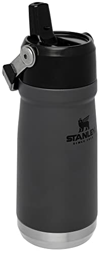 Stanley IceFlow Stainless Steel Water Jug with Straw, Vacuum Insulated Water Bottle for Home and Office, Reusable Tumbler with Straw Leakproof Flip, 17 ounces