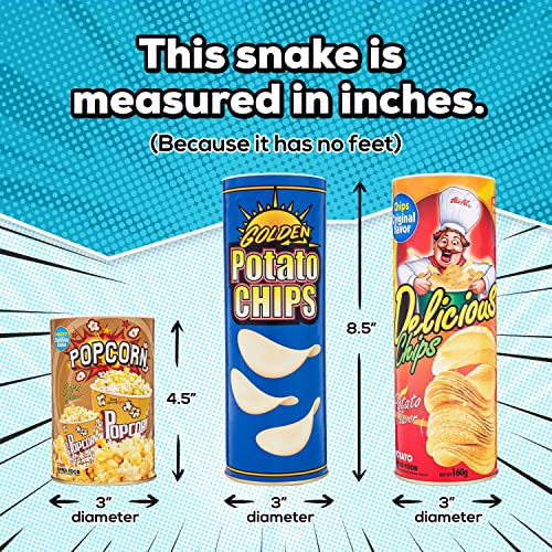 The FunFamz Original Snake in a Potato Chip Can Prank-Funny Classic Snake in a Can Prank for Kids, Snake in a Can Trick Gag Gift Toy & Scary Shock Snake Trick, Spring Snakes Prank, Red Potato Chip Can