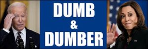 biden and kamala dumb and dumber bumper sticker (funny anti joe and harris vinyl decal (3 x 9 inch)
