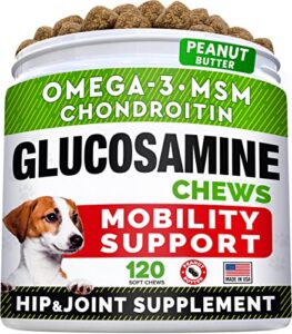 glucosamine treats for dogs - joint supplement w/omega-3 fish oil - chondroitin, msm - advanced mobility chews - joint pain relief - hip & joint care - peanut butter flavor - 120 ct