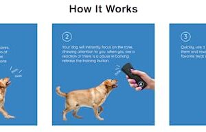 Bark Begone Dog Trainer| Anti Barking Dog Device| The Original Ultrasonic Emitter for Aggressive or Wild Dogs| No Collar Required| Lightweight, Durable| 70 ft Range| Correct Poor Behavior