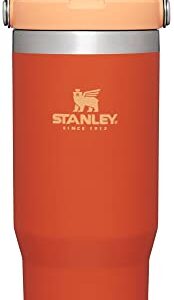 Stanley IceFlow Stainless Steel Tumbler with Straw - Vacuum Insulated Water Bottle for Home, Office or Car - Reusable Cup with Straw Leakproof Flip - Cold for 12 Hours or Iced for 2 Days (Tigerlily)