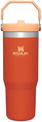 Stanley IceFlow Stainless Steel Tumbler with Straw - Vacuum Insulated Water Bottle for Home, Office or Car - Reusable Cup with Straw Leakproof Flip - Cold for 12 Hours or Iced for 2 Days (Tigerlily)