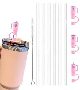 replacement straw compatible with stanley 40 oz 30 oz cup tumbler, includes 6 straws, 3 straw cover, and 1 brush.