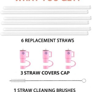 Replacement Straw Compatible with Stanley 40 oz 30 oz Cup Tumbler, Includes 6 Straws, 3 Straw cover, and 1 Brush.