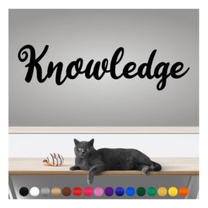 transform your walls with professional grade, outdoor weatherproof vinyl stickers - happy sunday - uv resistant, made in the usa! inspirational words: knowledge: 14 inch, satin silver