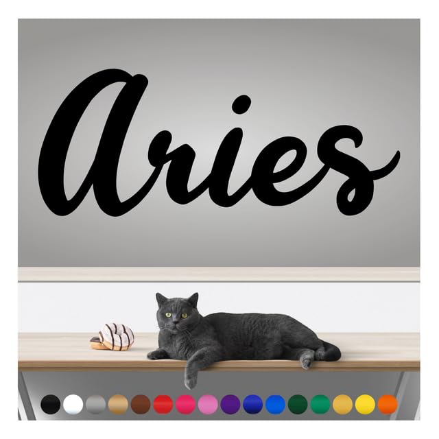 Transform Your Walls with Professional Grade, Outdoor Weatherproof Vinyl Stickers - Happy Sunday - UV Resistant, Made in The USA! Inspirational Words: Aries: 14 Inch, Satin Silver