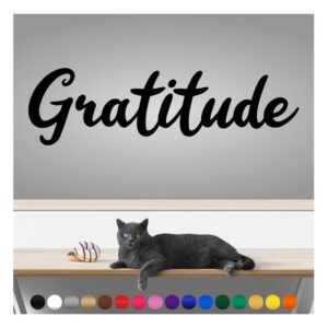 transform your walls with professional grade, outdoor weatherproof vinyl stickers - happy sunday - uv resistant, made in the usa! inspirational words: gratitude: 14 inch, satin silver