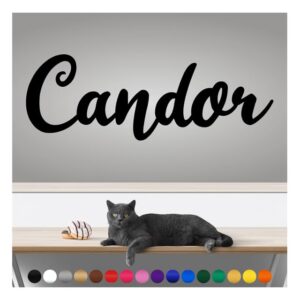 transform your walls with professional grade, outdoor weatherproof vinyl stickers - happy sunday - uv resistant, made in the usa! inspirational words: candor: 14 inch, satin silver