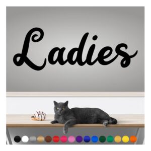 transform your walls with professional grade, outdoor weatherproof vinyl stickers - happy sunday - uv resistant, made in the usa! inspirational words: ladies: 14 inch, satin silver