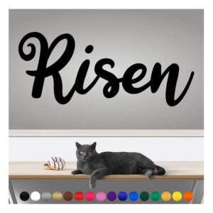 transform your walls with professional grade, outdoor weatherproof vinyl stickers - happy sunday - uv resistant, made in the usa! inspirational words: risen: 14 inch, satin silver