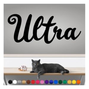 transform your walls with professional grade, outdoor weatherproof vinyl stickers - happy sunday - uv resistant, made in the usa! inspirational words: ultra: 14 inch, satin silver
