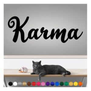 transform your walls with professional grade, outdoor weatherproof vinyl stickers - happy sunday - uv resistant, made in the usa! inspirational words: karma: 14 inch, satin silver