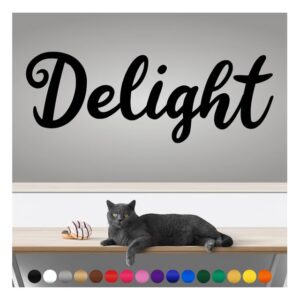 transform your walls with professional grade, outdoor weatherproof vinyl stickers - happy sunday - uv resistant, made in the usa! inspirational words: delight: 14 inch, satin silver