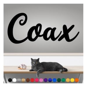 transform your walls with professional grade, outdoor weatherproof vinyl stickers - happy sunday - uv resistant, made in the usa! inspirational words: coax : 14 inch, satin silver