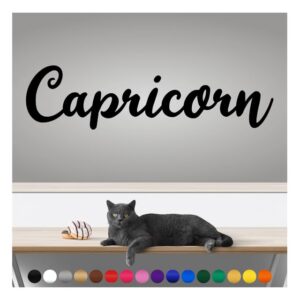 transform your walls with professional grade, outdoor weatherproof vinyl stickers - happy sunday - uv resistant, made in the usa! inspirational words: capricorn: 14 inch, satin silver