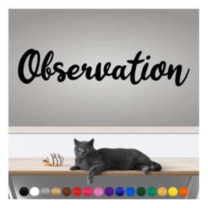 transform your walls with professional grade, outdoor weatherproof vinyl stickers - happy sunday - uv resistant, made in the usa! inspirational words: objectivity: 14 inch, satin silver