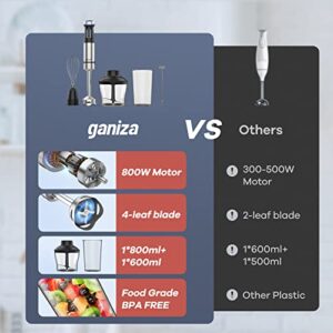 Ganiza Immersion Blender 5 in 1 Hand Blender 800W Heavy Duty Motor, 15 Speed and Turbo Mode Handheld Blender Stainless Steel Blade With 800ml Mixing Beaker, 600ml Chopper, Whisk and Milk Frother (Silver-1)