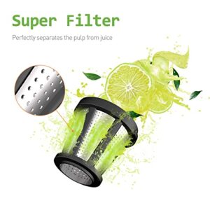 WHALL Slow Juicer, Masticating Juicer, Celery Juicer Machines, Cold Press Juicer Machines Vegetable and Fruit, Juicers with Quiet Motor & Reverse Function, Easy to Clean with Brush,Grey