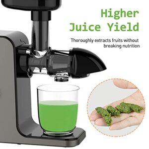 WHALL Slow Juicer, Masticating Juicer, Celery Juicer Machines, Cold Press Juicer Machines Vegetable and Fruit, Juicers with Quiet Motor & Reverse Function, Easy to Clean with Brush,Grey