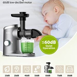 Slow Masticating Juicer, Aeitto Cold Press Jucier Machines, with Triple Modes,Reverse Function & Quiet Motor, Easy to Clean with Brush, Recipe for Vegetables And Fruits, Grey