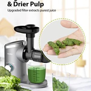 Slow Masticating Juicer, Aeitto Cold Press Jucier Machines, with Triple Modes,Reverse Function & Quiet Motor, Easy to Clean with Brush, Recipe for Vegetables And Fruits, Grey