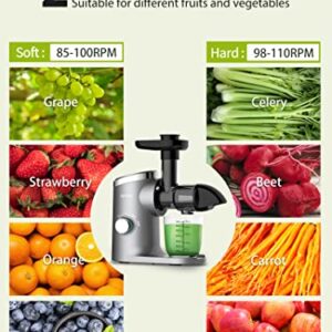 Slow Masticating Juicer, Aeitto Cold Press Jucier Machines, with Triple Modes,Reverse Function & Quiet Motor, Easy to Clean with Brush, Recipe for Vegetables And Fruits, Grey