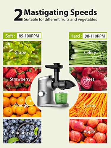 Slow Masticating Juicer, Aeitto Cold Press Jucier Machines, with Triple Modes,Reverse Function & Quiet Motor, Easy to Clean with Brush, Recipe for Vegetables And Fruits, Grey