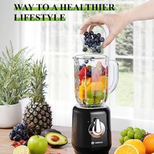 KIDISLE Retro Blenders for Kitchen, 34oz Glass Jar, 700W Smoothie Blender for Shakes and Smoothies, 3 Adjustable Speed for Milkshake, Ice Crush, Puree and Frozen Fruit, Black