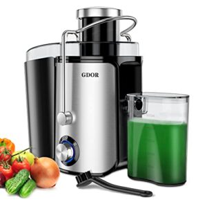 juicer machines with 1000w motor, gdor extra wide 3” feed chute juicer, juice extractor for whole fruits and vegetables, easy to clean juice maker, centrifugal juicer, bpa-free, anti-drip, silver