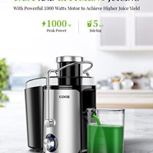 Juicer Machines with 1000W Motor, GDOR Extra Wide 3” Feed Chute Juicer, Juice Extractor for Whole Fruits and Vegetables, Easy to Clean Juice Maker, Centrifugal Juicer, BPA-Free, Anti-Drip, Silver