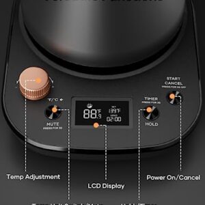 INTASTING Electric Kettle, Electric Tea Kettle with LCD Display, ±1℉ Temperature Control Gooseneck Electric Kettle, Auto Shut-Off/Keep Warm/Brew Timer, Quick Heating Hot Water Kettle Electric, 0.9L