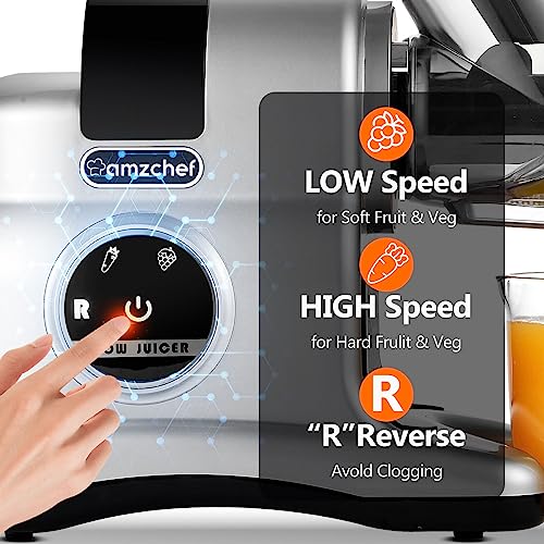 Juicer Machines Cold Pressed, AMZCHEF 3" Wide Chute Slow juicer, High Nutrition Juicer Slow Masticating with 2-Speed Modes & Reverse Function (Gray)