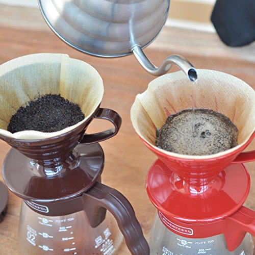 Hario V60 Pour Over Starter Set with Dripper, Glass Server, Scoop and Filters, Size 02, Brown