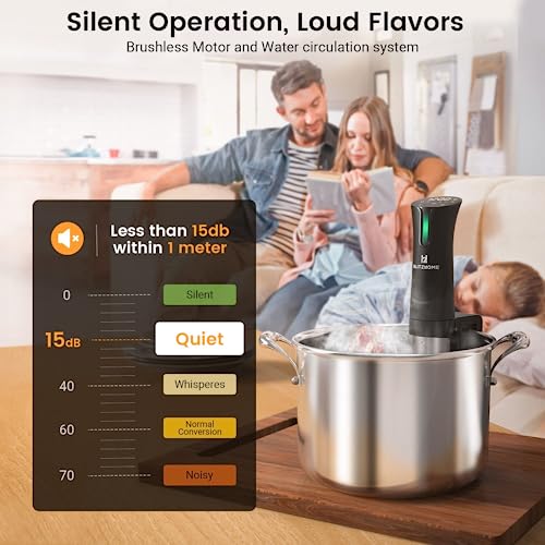 BLITZHOME Sous Vide Machine, 1100W Sous Vide Cooker with Accurate Temperature & Timer, Ultra Quiet Stainless Precision Immersion Circulator Device, Kitchen Gadgets with Recipes