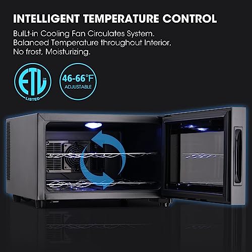 JINJUNYE 8 Bottle Wine Cooler Refrigerator, Wine Fridge Small, Countertop Wine Cooler with Digital Temperature Control, 46-64℉ Mini Freestanding Wine Cellars Glass Door, Gift for Wine Lover