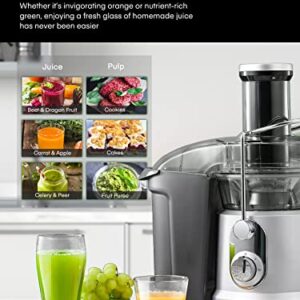 JUILIST Juicer Machines, 1000W Juicer Vegetable and Fruit with 3.2" Wider Mouth Food Chute, Easy to Clean, Large Power（1300W Peak）Juicer Extractor, 4S Fast Juicing & 2 Speeds Setting, Silver