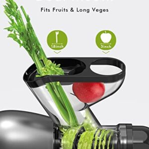 SiFENE Slow Masticating Juicer Machine, 3” Wide Dual Chute Cold Press Juicer with Anti-Clog Function, Ideal for Celery, Wheatgrass, Fruit and Vegetable Juice Extractor, BPA-Free, Easy to Clean