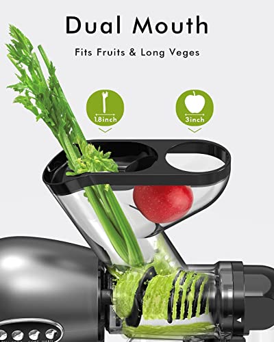 SiFENE Slow Masticating Juicer Machine, 3” Wide Dual Chute Cold Press Juicer with Anti-Clog Function, Ideal for Celery, Wheatgrass, Fruit and Vegetable Juice Extractor, BPA-Free, Easy to Clean