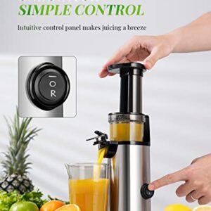 Compact GDOR Masticating Juicer with Powerful 60NM DC Motor, Low Noise, Space-Saving Cold Press Juice Exrtractor Machines, Easy to Clean Slow Juicer, Brush Included, 20 Oz Juice Cup, BPA-Free, Sliver