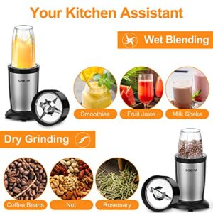 OSEYM Bullet Blender for Shakes and Smoothies,850W Smoothie Blenders for Kitchen,19-In-1 Personal Blender for Protein Frozen Ice Drinks Baby Food with 2 * 20 Oz & 1 * 10 Oz To-Go Cups,BPA-Free (Silver-Black)