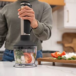 Blendtec Immersion Blender - Handheld Stick Blender, Whisk, and Food Processor - Includes 3 Attachments, 20 oz BPA-Free Jar, and Storage Tray - Stainless Steel