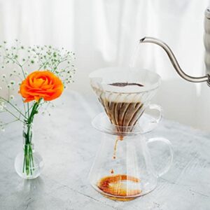 Hario "Simply Glass V60 Pour Over Set with Glass Server, Scoop and Filters, Size 02, Clear