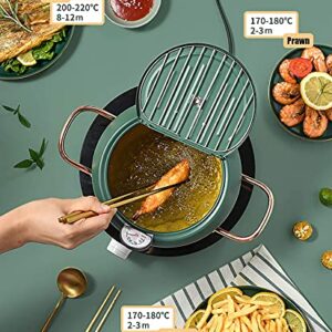 Cyrder Japanese Tempura Deep Fryer Pot with Fahrenheit Thermometer, Nonstick Carbon Steel Oil Fryer, Fried tempura/chicken/fish/shrimp, Easy Clean, Green big tempura pan, 9.5inch