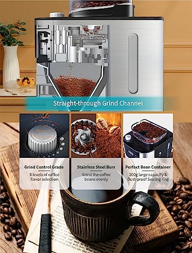 10-Cup Drip Coffee Maker, Brew Automatic Coffee Machine with Built-In Burr Coffee Grinder, Programmable Timer Mode and Keep Warm Plate, 1.5L Large Capacity Water Tank, Removable Filter Basket, 900W